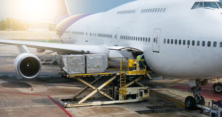 INTERNATIONAL AIR FREIGHT